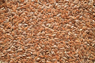 Lněné semínko hnědé 1000g