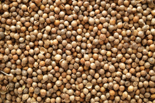 Koriandr celý 200g