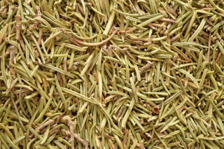 Rozmarýn, 100g